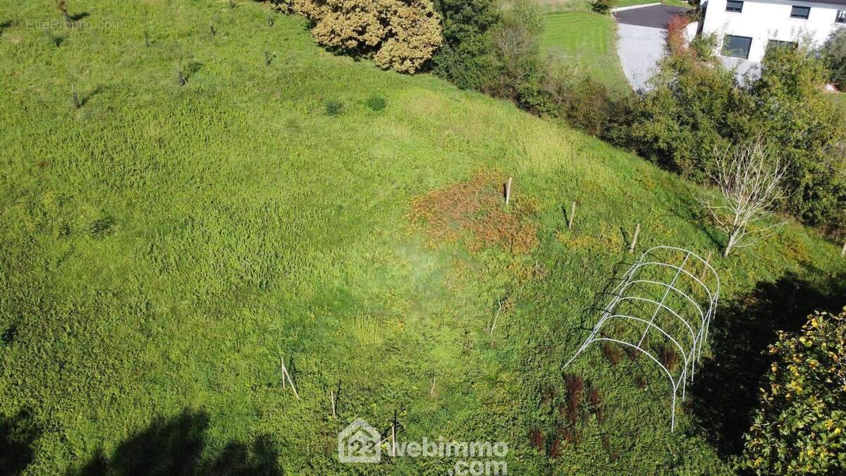 Maison 261 m² à Morlanne  - photo 112