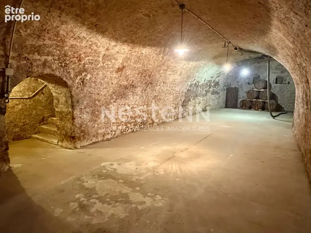 Maison de maître d'exception à vendre à Rilly-la-Montagne - 12 pièces, 557 m² - photo 6