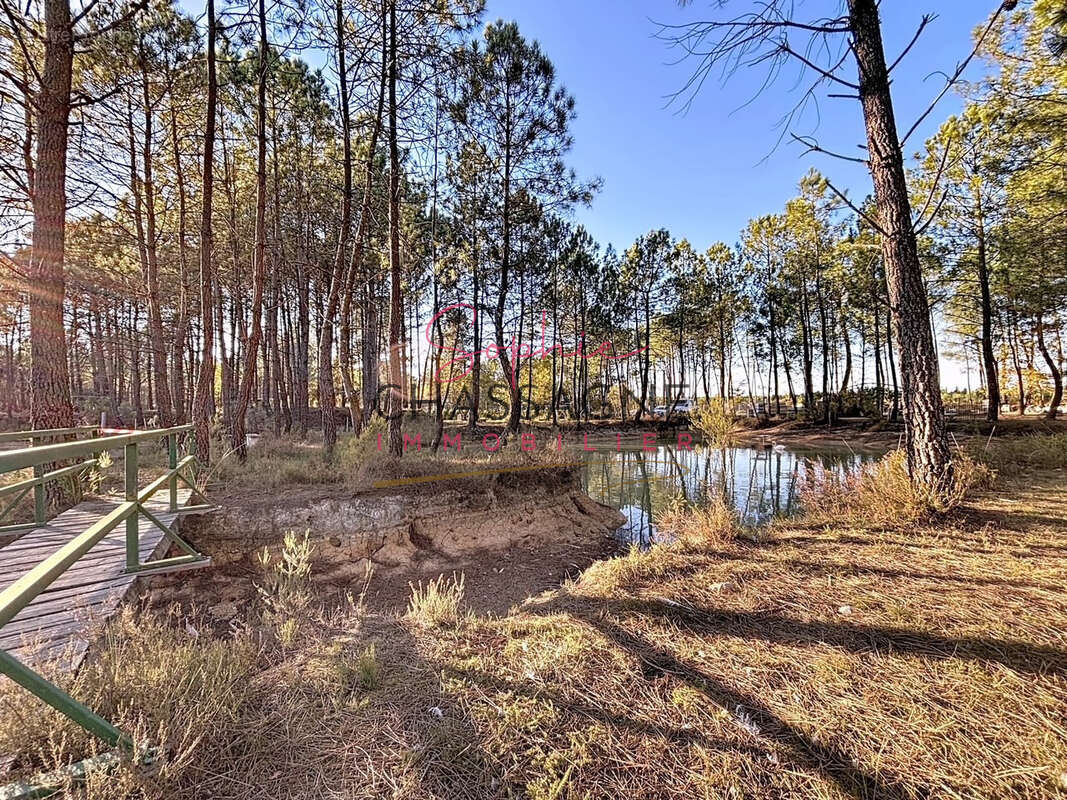 À 30 minutes de Bordeaux et 45 minutes d’Arcachon, domaine avec 2 étangs sur 15 hectares - photo 6