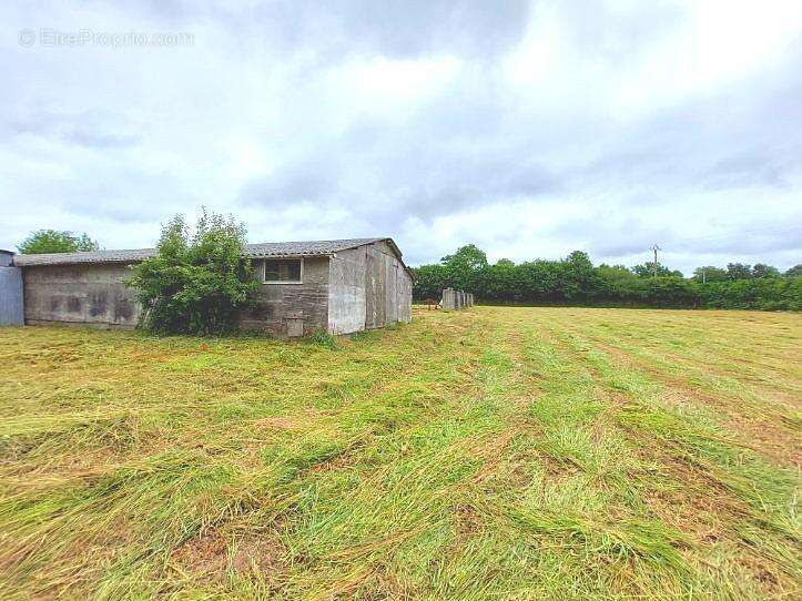 Terrain à SAINT-DENIS-LE-GAST