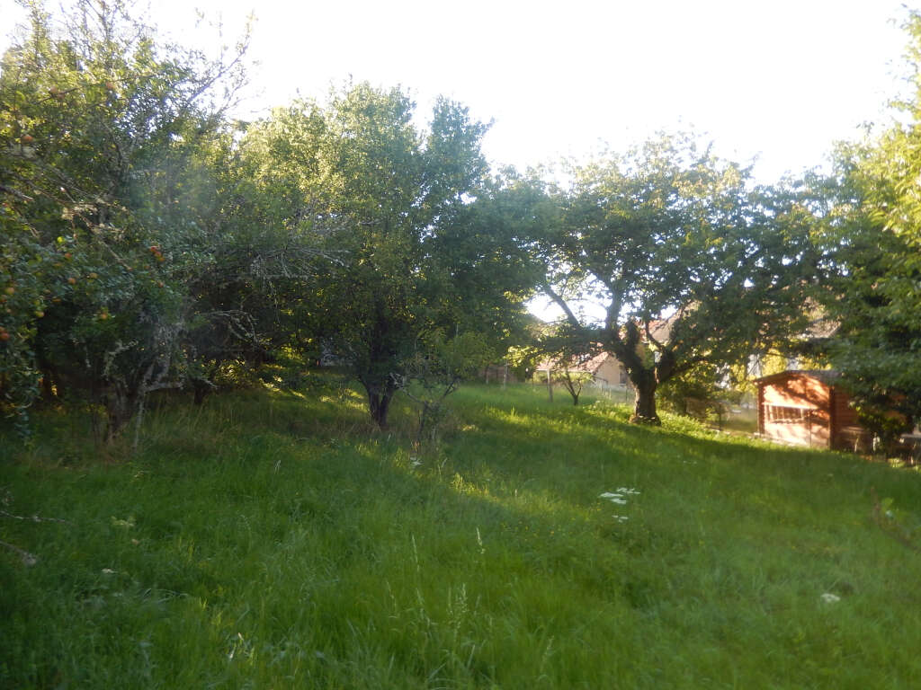 Terrain à SAINT-SYMPHORIEN-DE-MARMAGNE
