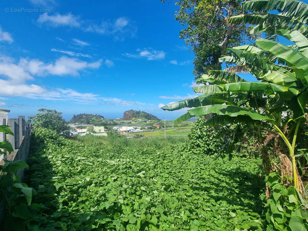 Terrain à SAINT-PIERRE