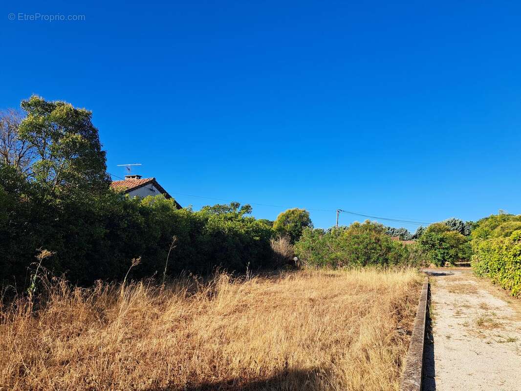 Photo 2 - Terrain à CHEVAL-BLANC