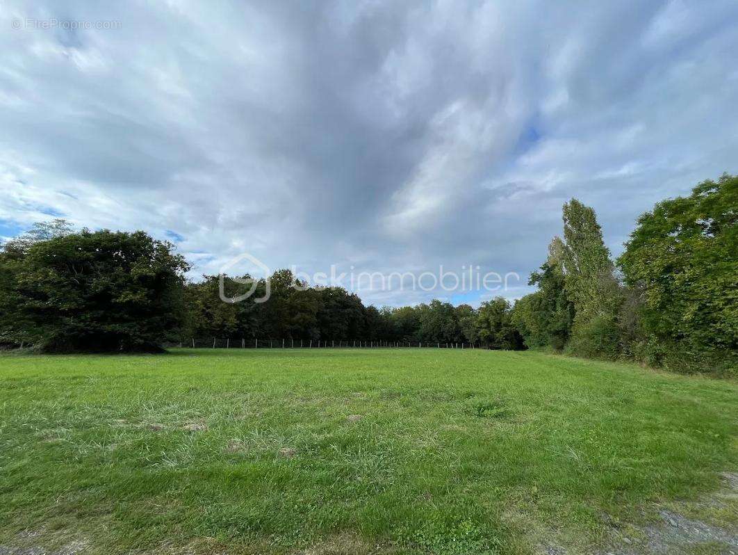 Maison à MONTREUIL-BELLAY