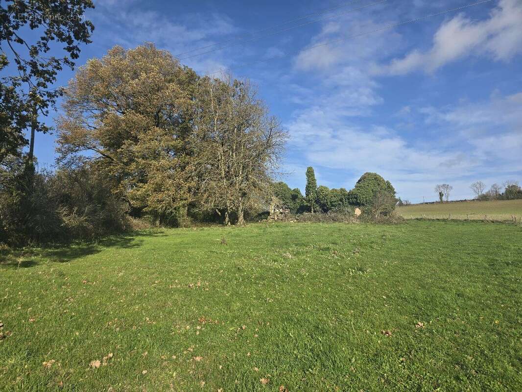 Corps de ferme avec maison, appartement et dépendances - Durenque - photo 9