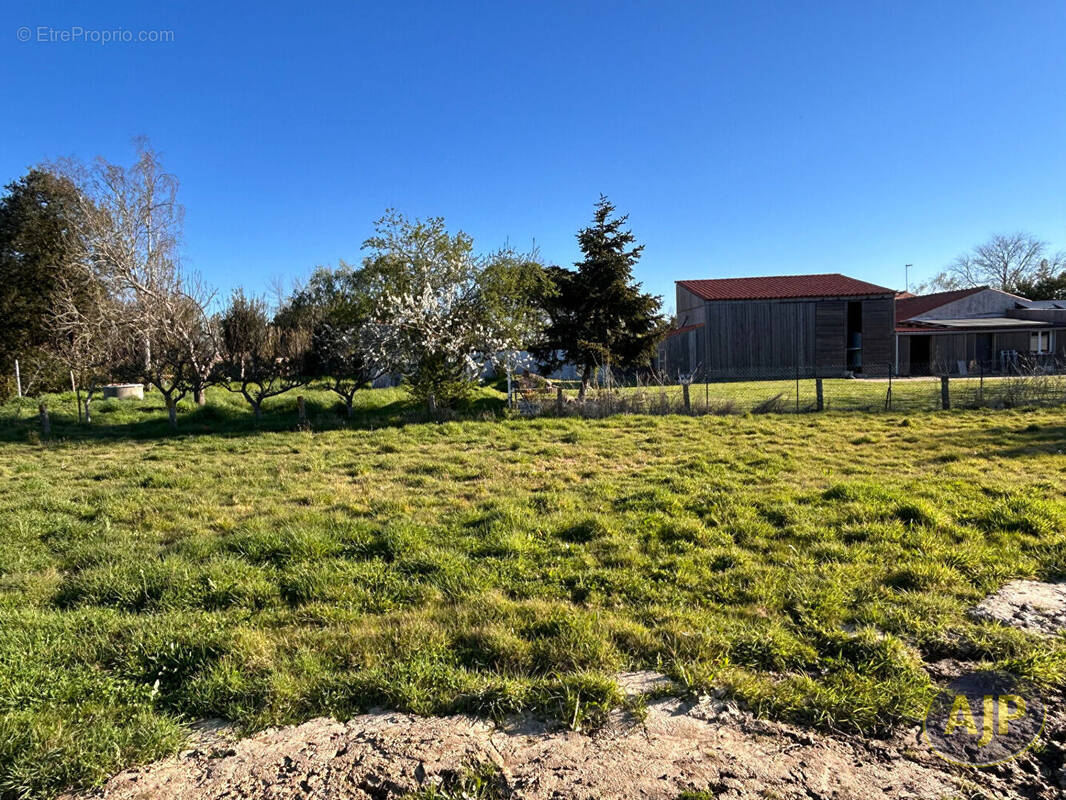 Terrain à TALMONT-SAINT-HILAIRE