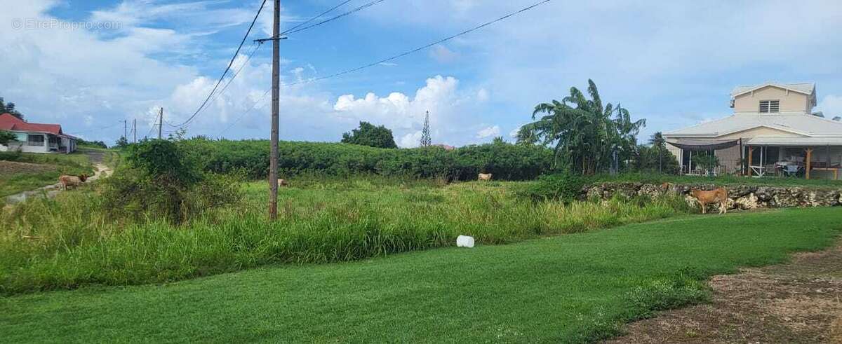Terrain à SAINT-FRANCOIS