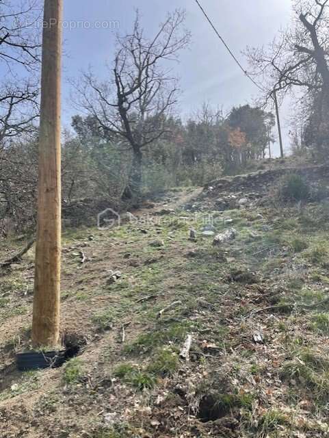 Terrain à MARQUIXANES