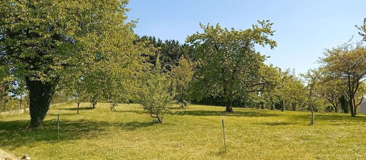 Terrain à BUCY-LE-LONG
