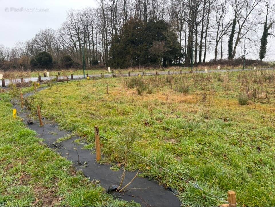 Terrain à AUTRETOT