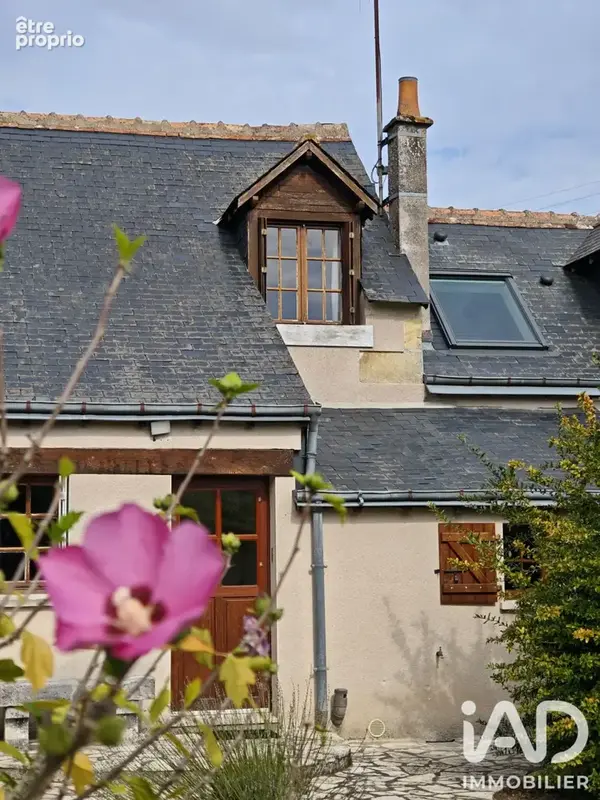 Photo 1 - Maison à LIGNIERES-DE-TOURAINE