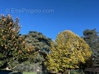 Appartement à ECULLY