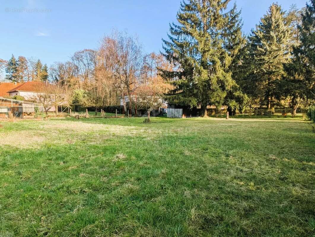 Maison à REICHSHOFFEN