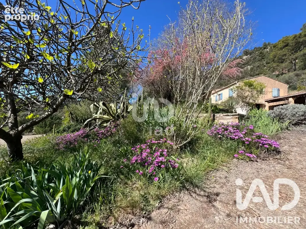 Photo 1 - Maison à VIDAUBAN