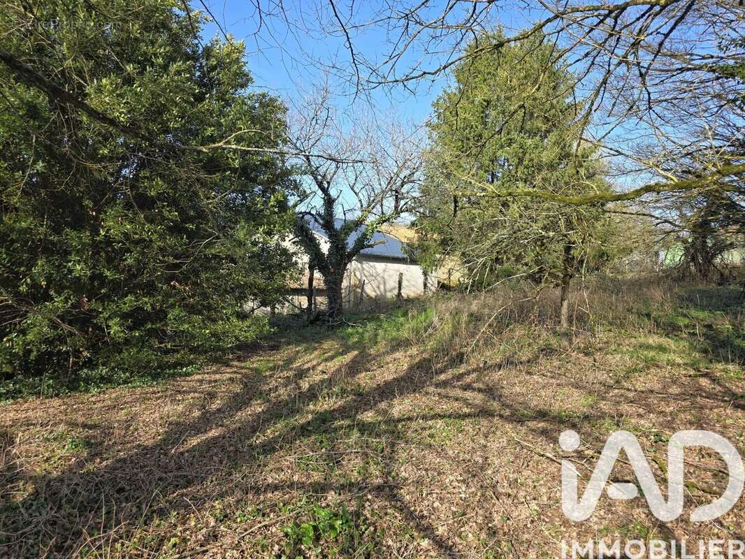 Photo 3 - Appartement à PRANZAC