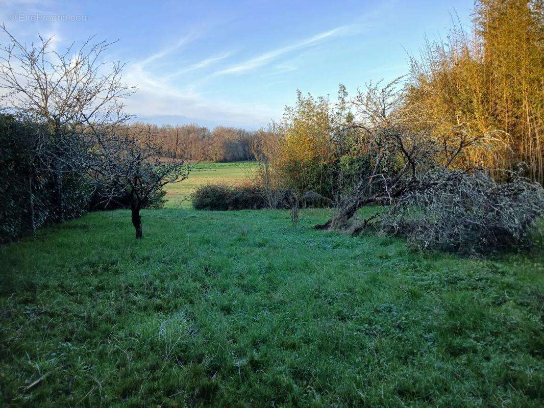 Maison à MONTCHAUDE