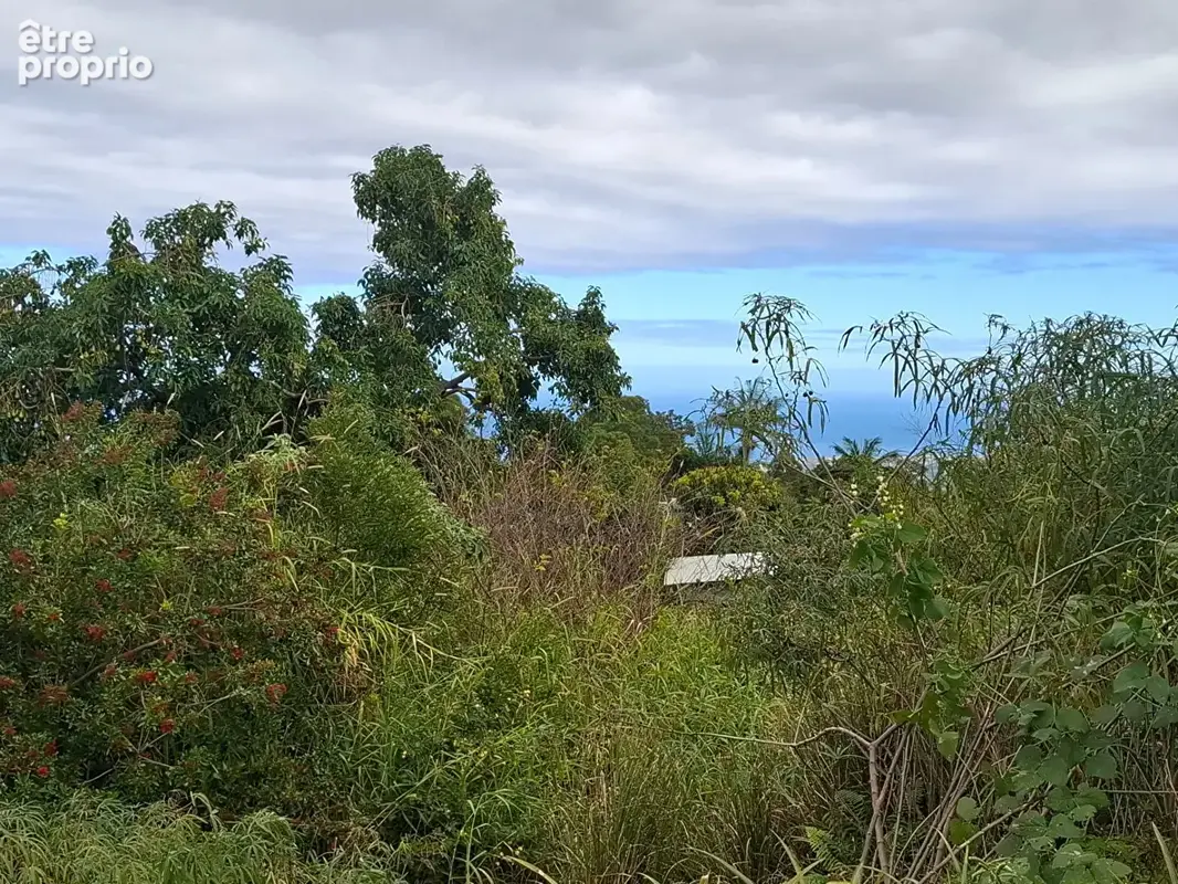 Terrain à LE TAMPON