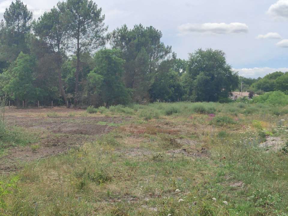 Terrain à SAINT-YZAN-DE-SOUDIAC
