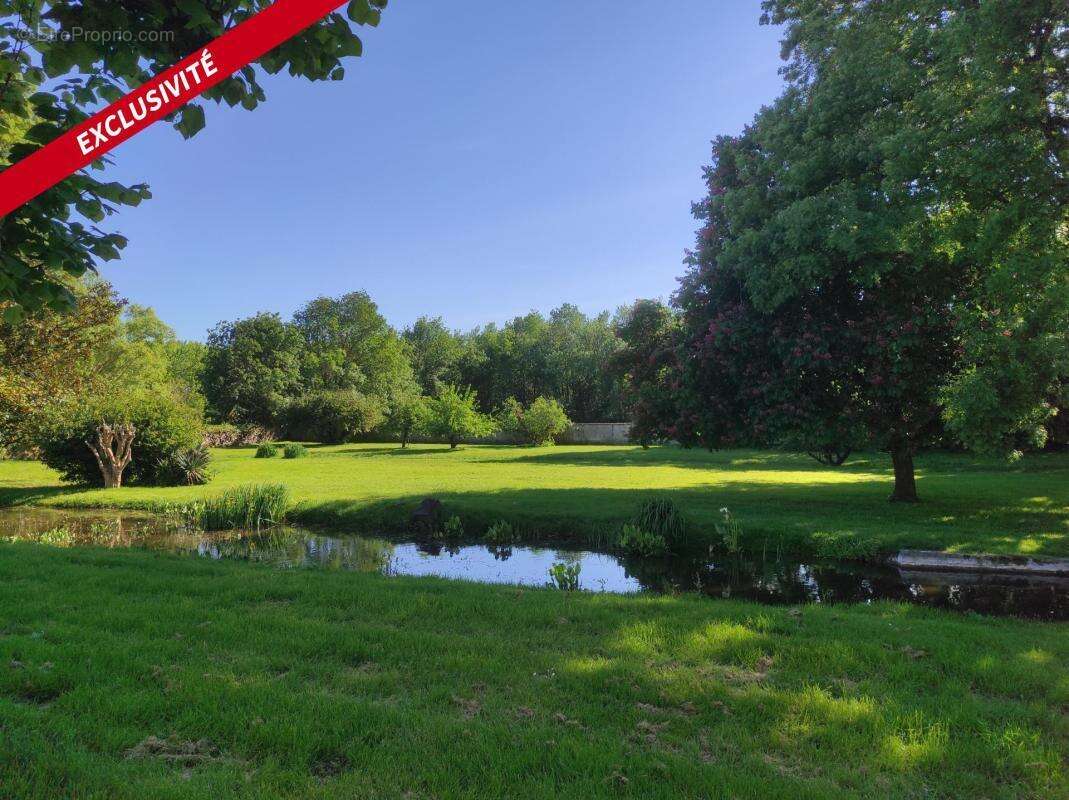 Maison à SAINT-JEAN-D&#039;ANGELY