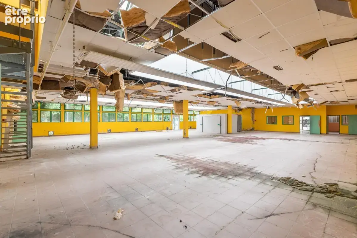 Bureaux - 2 141 m² - Saint-Flour (15) - photo 6