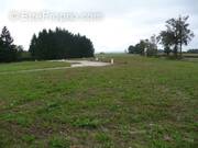 Terrain à COLOMBIES