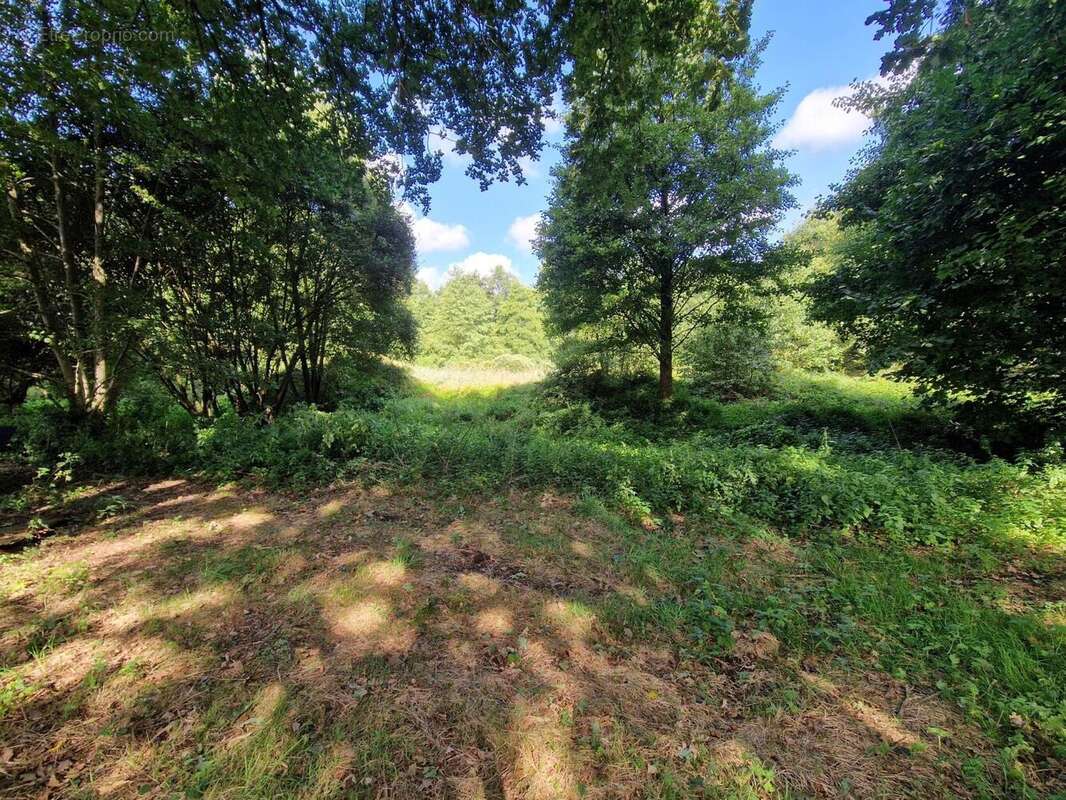 Photo 5 - Maison à MOISDON-LA-RIVIERE