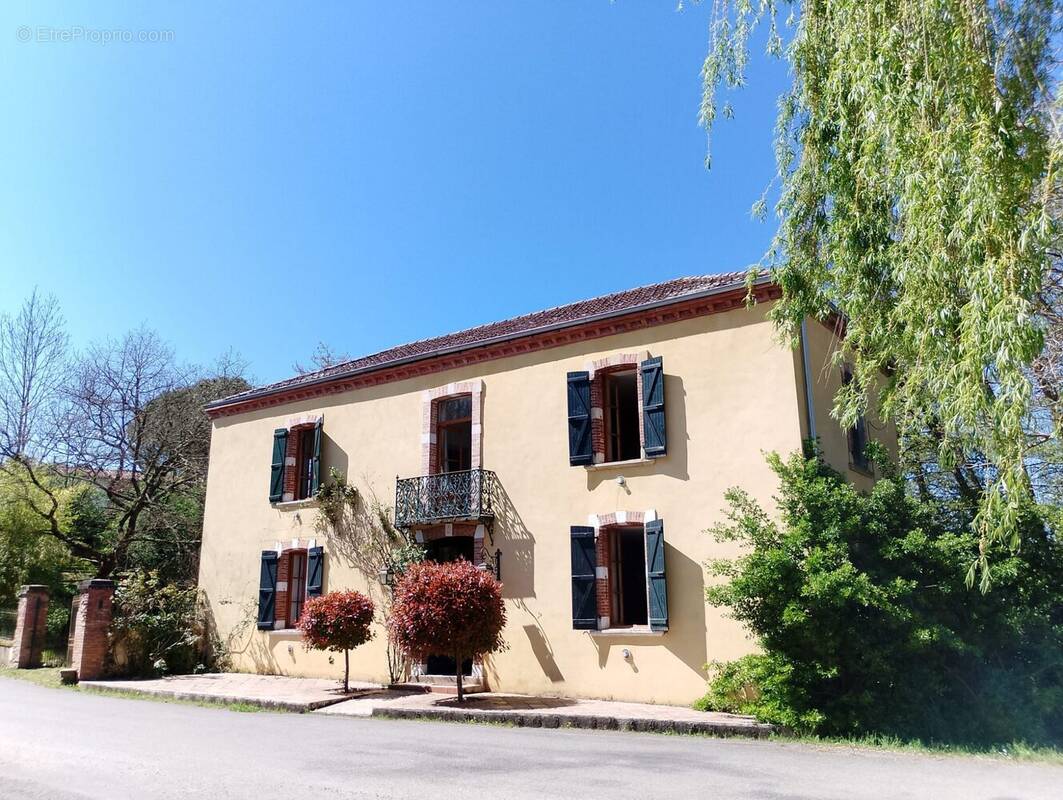 L&#039;Isle-en-Dodon, Haute-Garonne, charmante maison spacieuse avec ruisseau, cadre rural, façade  Charming spacious house with stream, rural setting facade  - Maison à L&#039;ISLE-EN-DODON