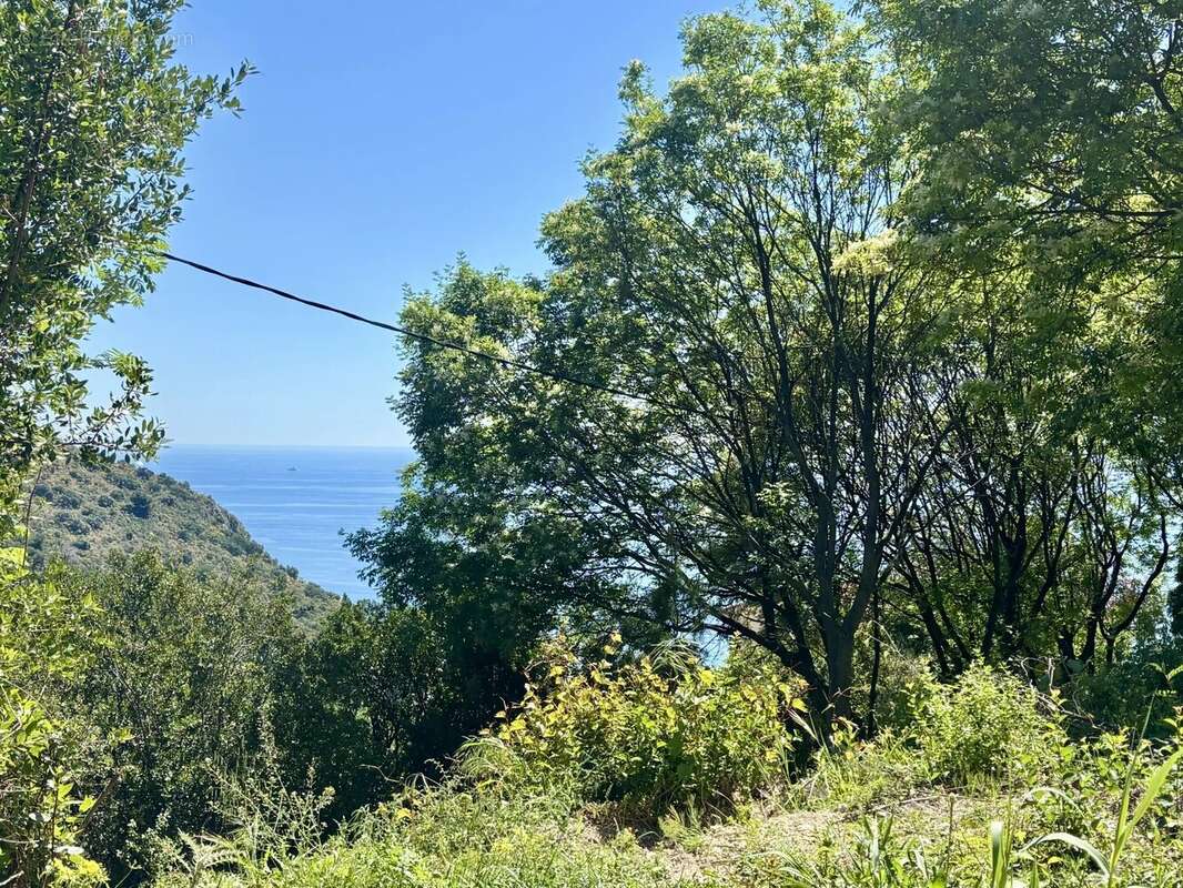 Terrain à EZE