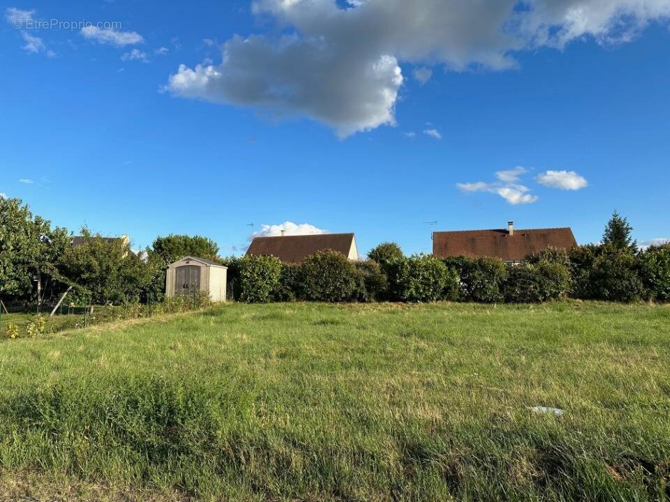 Terrain à TAUXIGNY