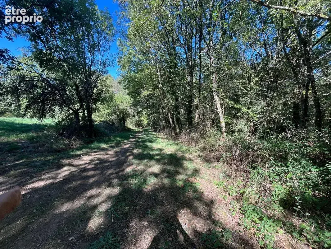 Belle parcelle de bois - AGENCE ORPI BRIVE - photo 9