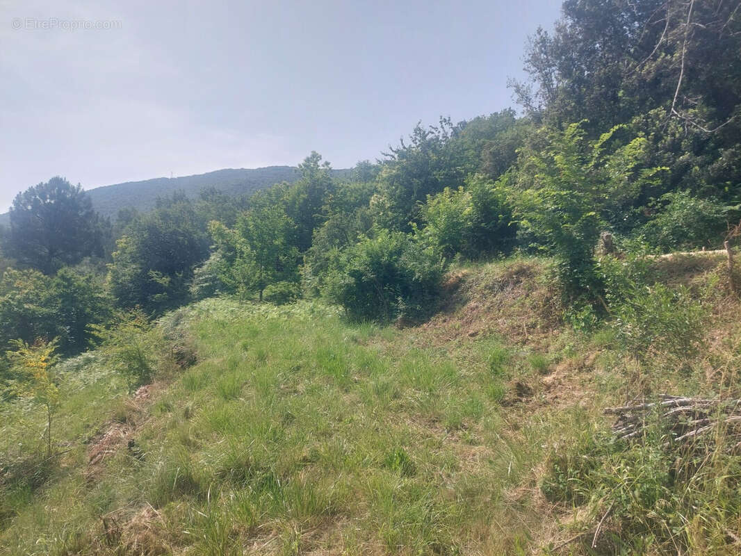 Terrain à SAINT-PAUL-LA-COSTE