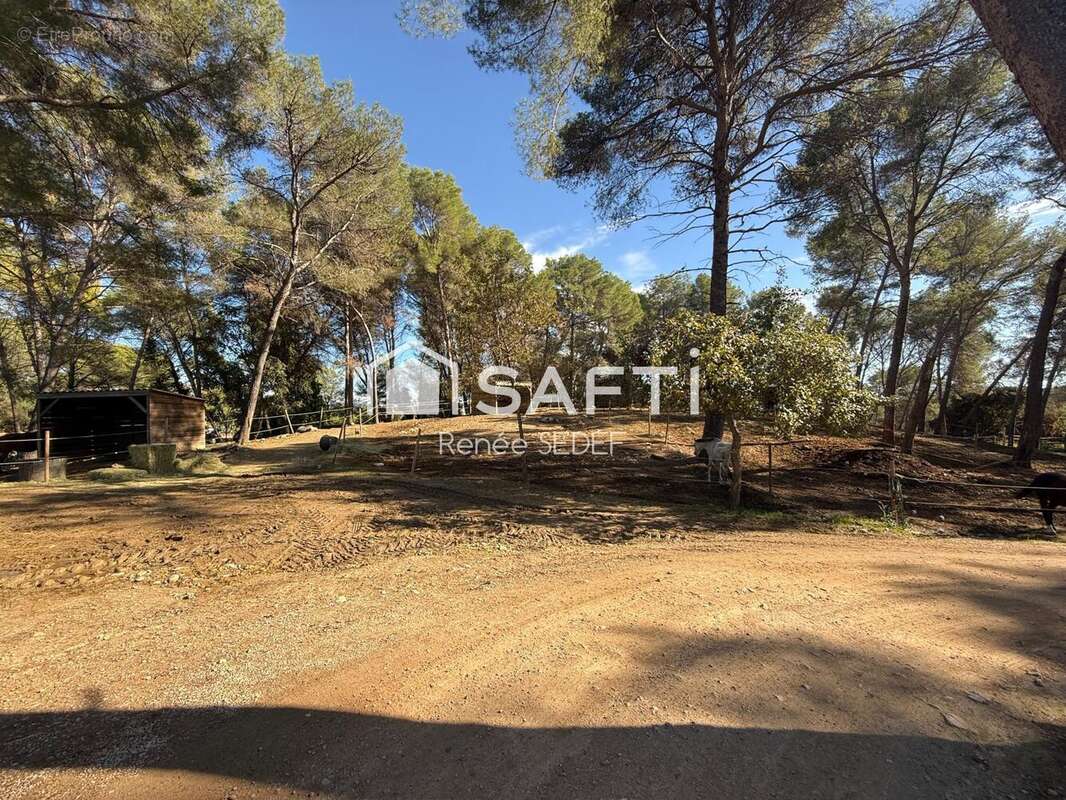 Photo 6 - Commerce à MOUGINS