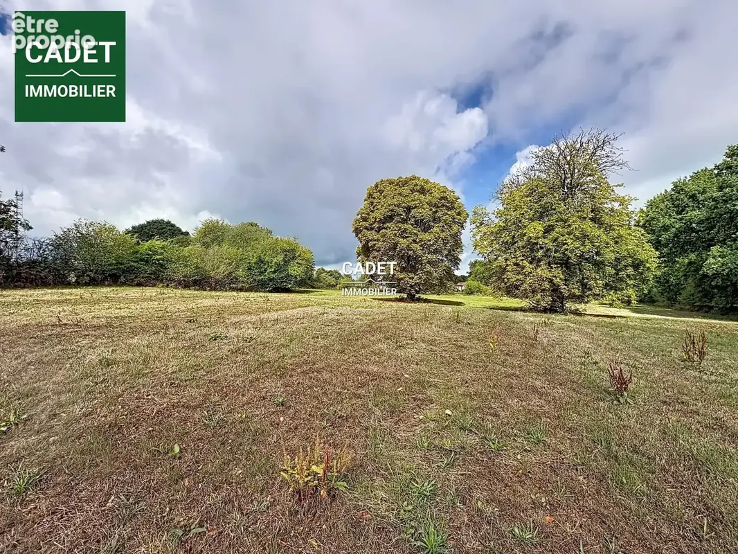 Terrain 15 113 m² à vendre à Villedieu-Les-Poeles (50800) - photo 5
