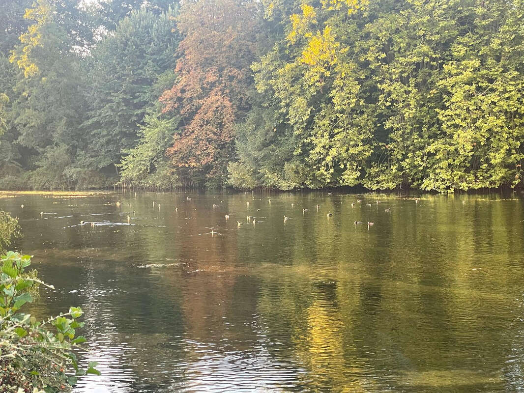 Maison à SAINT-PRYVE-SAINT-MESMIN