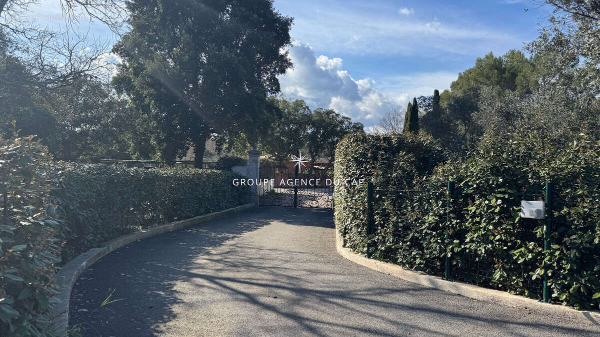 A vendre villa 5 pieces de 400m2 avec deux dependances vue sur le rocher de roquebrune - photo 4