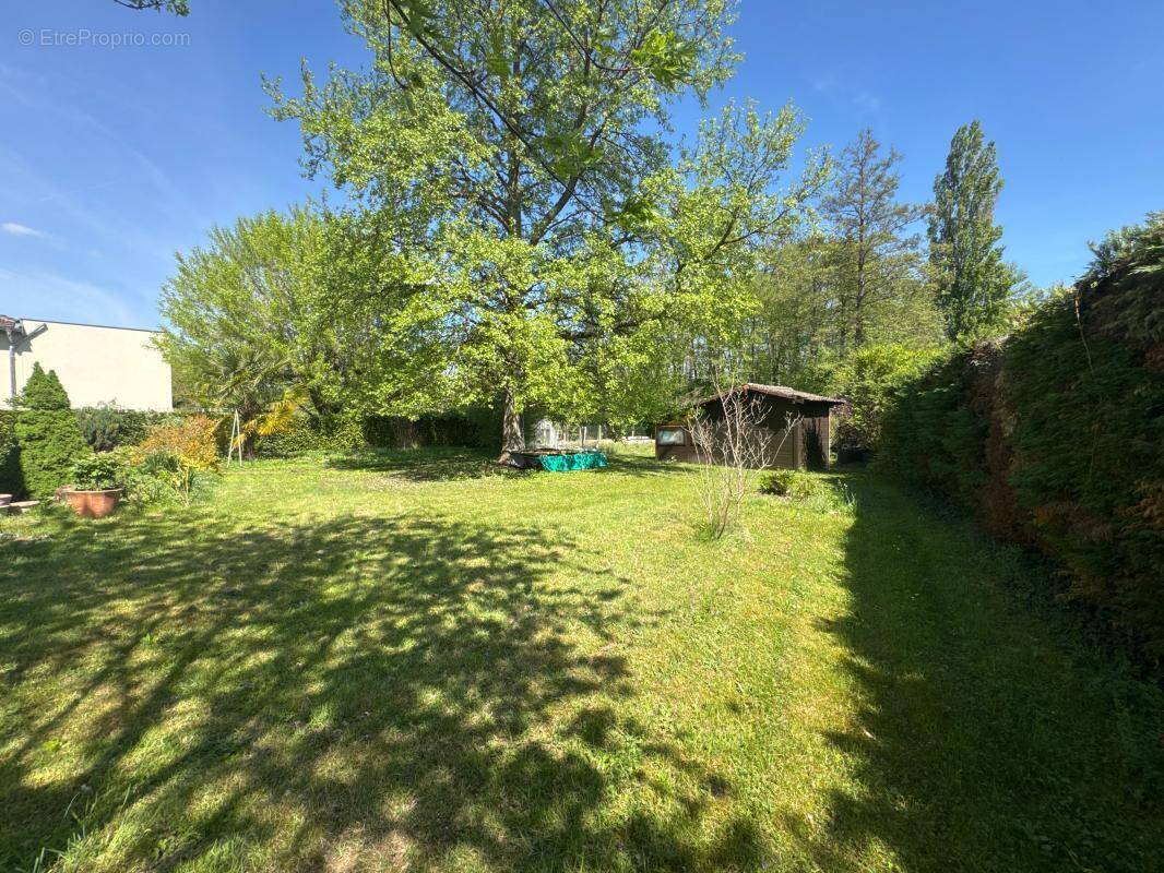 Terrain à SAINT-ROMAIN-DE-JALIONAS