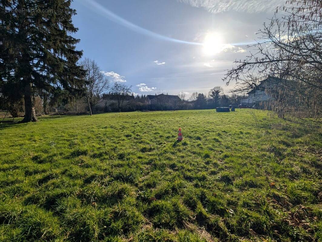 Terrain à LA QUEUE-LES-YVELINES