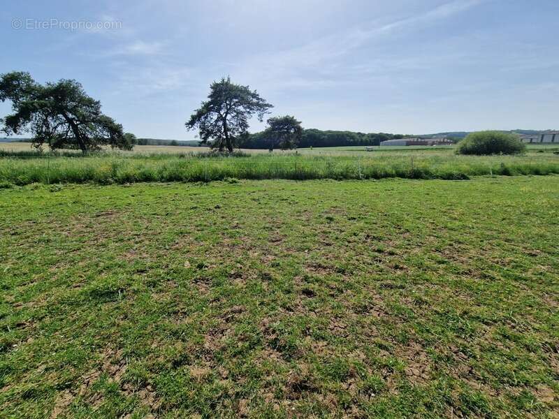 Propriété à vendre 8 pièces proche nancy (54) sur 1,8 hectare - propriété agricole avec ferme rénovée, dependances, ecuries, gra - photo 8