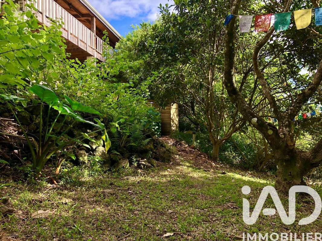 Photo 5 - Maison à SAINT-JOSEPH