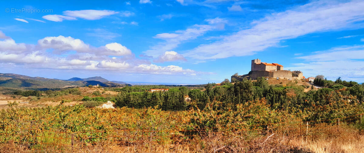 Terrain à MONTALBA-LE-CHATEAU