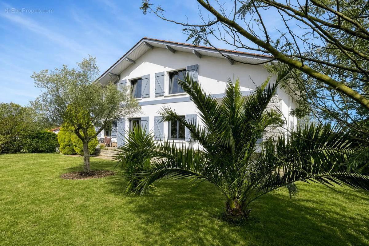 Maison à HABAS