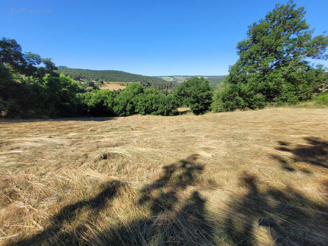 Terrain à PIERREFICHE