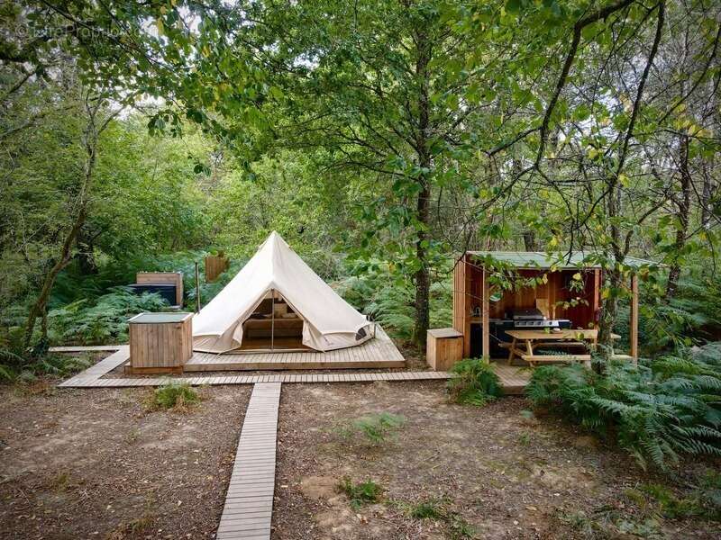 Opportunité d'affaires exceptionnelle : domaine de 24 hectares comprenant 15 hectares d'étangs, parfait pour divers projets tour - photo 11
