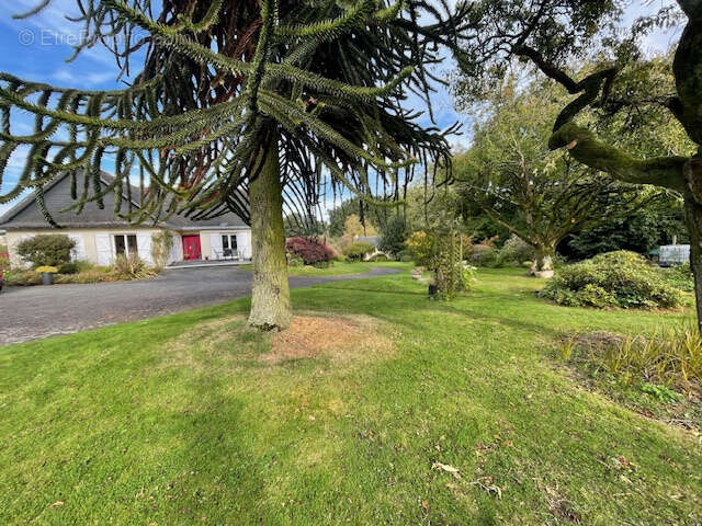 Maison  de plain-pied a ploeuc-sur-lie - photo 11