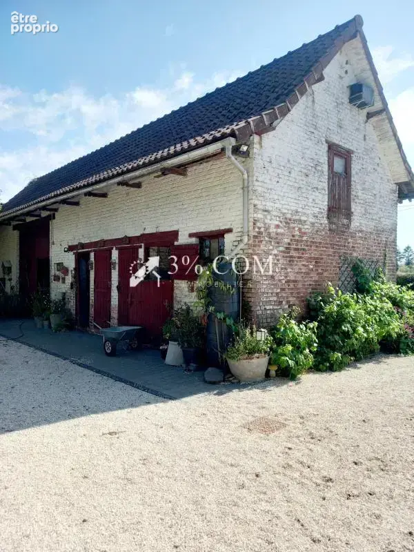 Coup de coeur - merville - photo 2