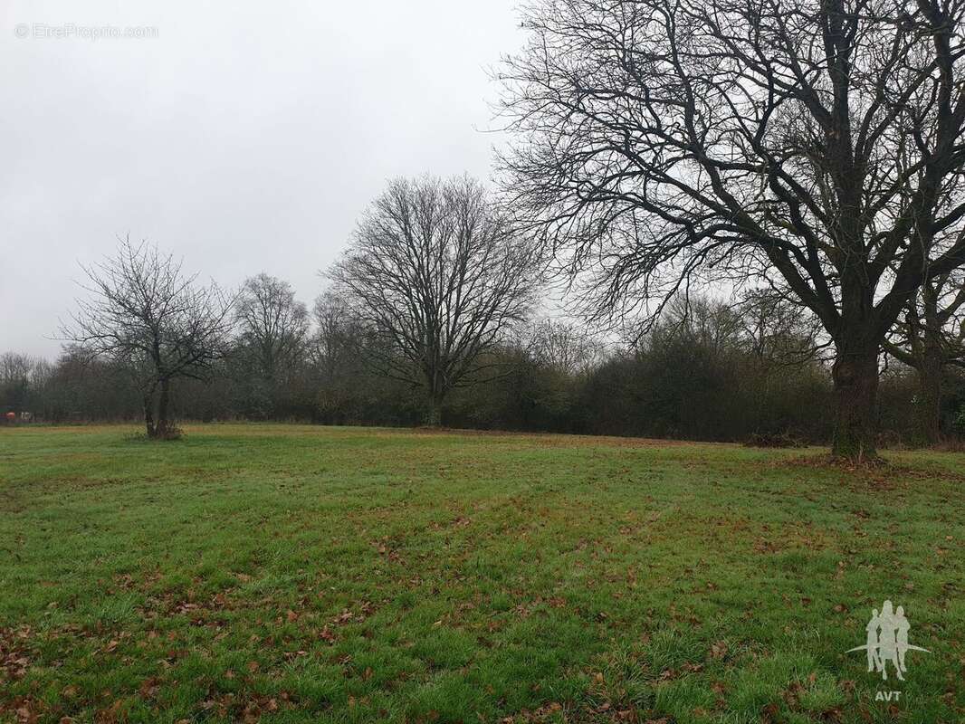 Terrain 2651 m² à Auzouer-En-Touraine  - photo 21