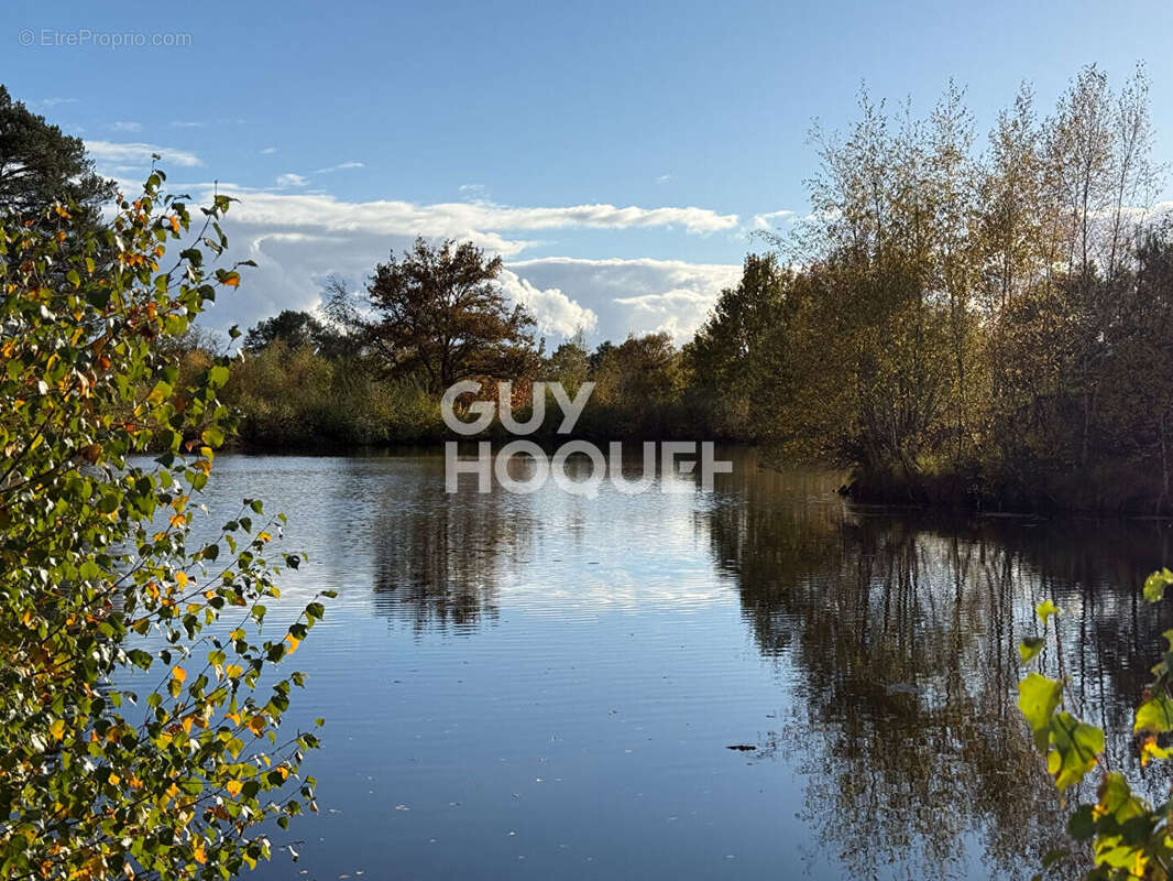 Terrain à LAMOTTE-BEUVRON