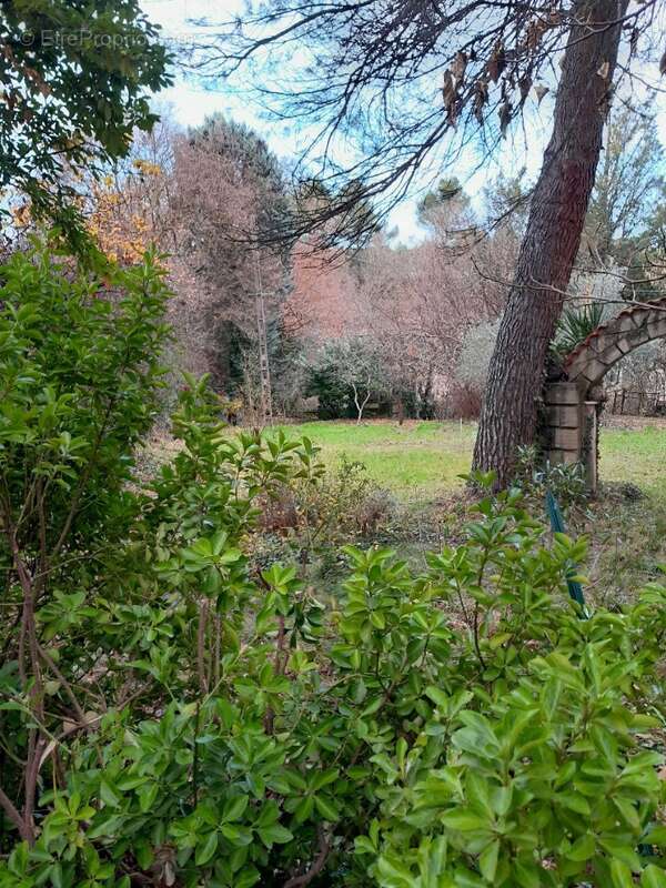 Terrain 296 m² à Plan-D'aups-Sainte-Baume  - photo 2