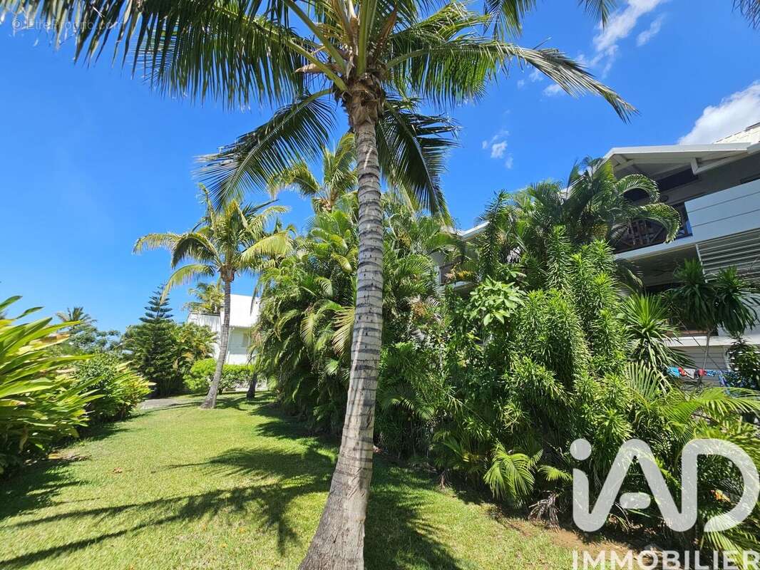 Photo 8 - Appartement à SAINT-PAUL