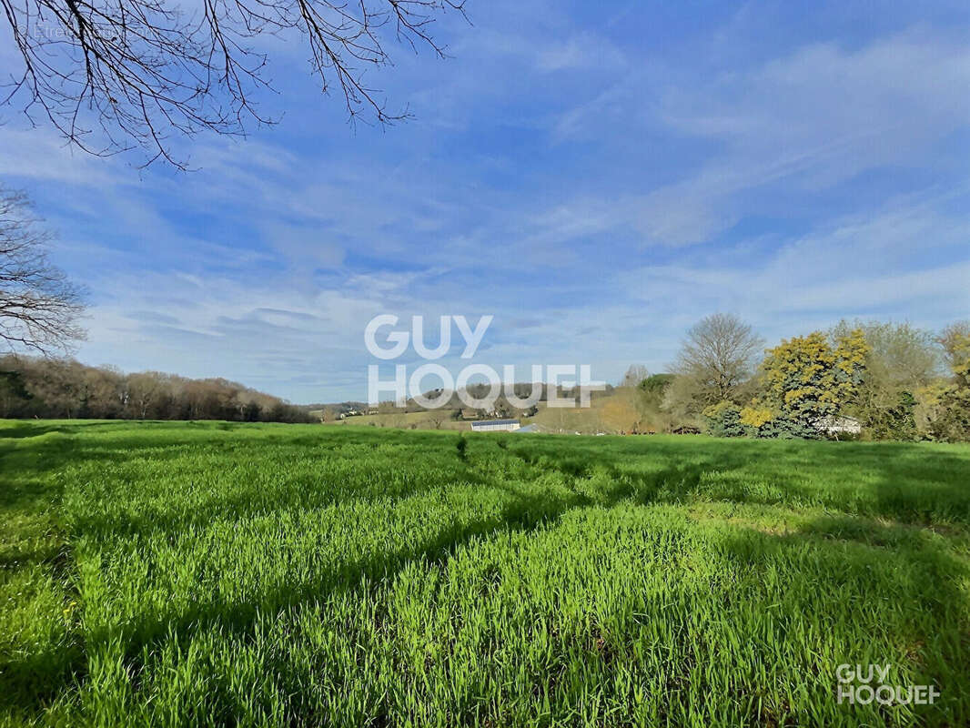 Terrain à SAINTE-COLOMBE